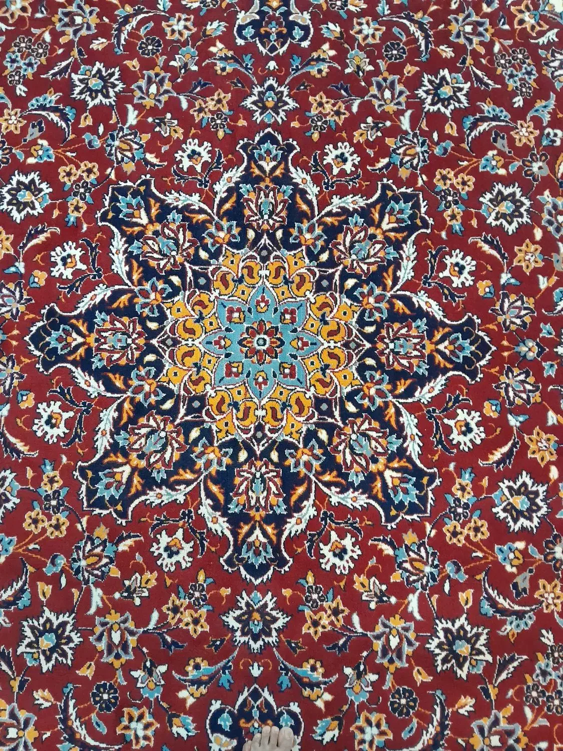 فرش۴×۳|فرش|نیشابور, شهرک ولیعصر|دیوار