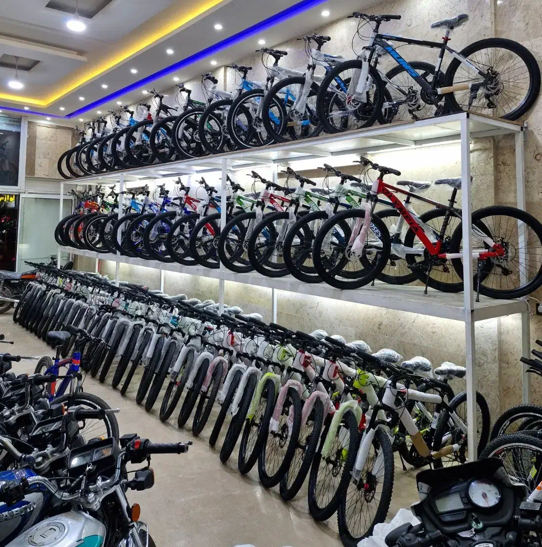 المپیک لیون۲۴|دوچرخه، اسکیت، اسکوتر|مشهد, طبرسی شمالی|دیوار