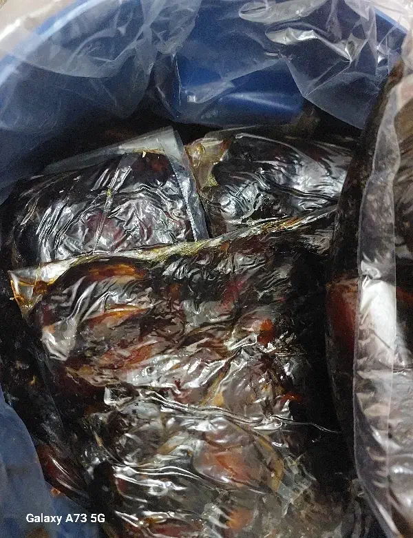 خرمای درجه یک بوشهر ۱۶۰۰۰۰ تومان|خوردنی و آشامیدنی|یاسوج, |دیوار