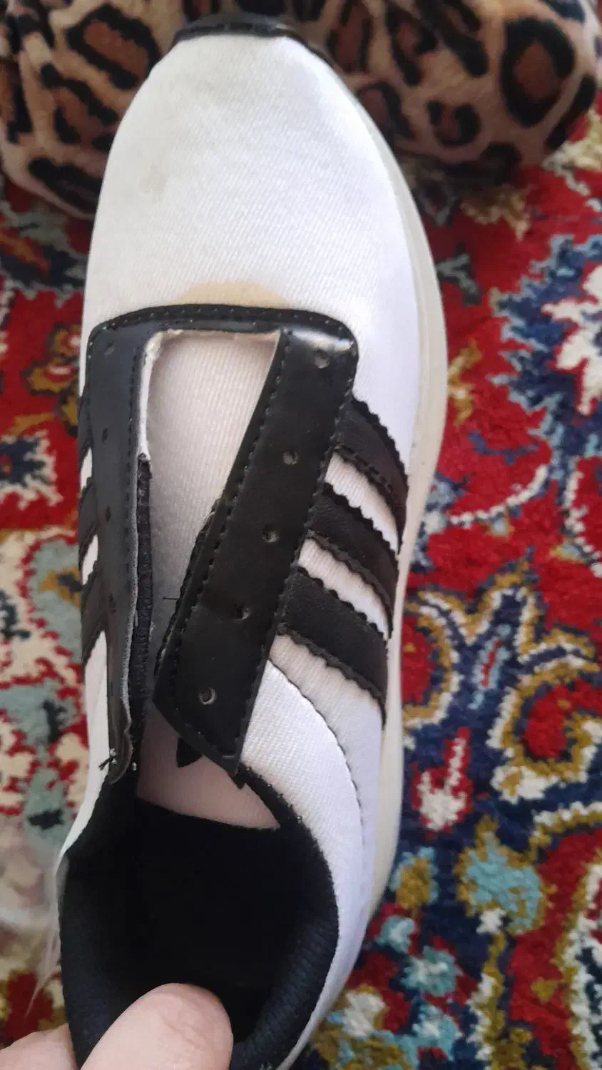 کفش|کیف، کفش، کمربند|بم, |دیوار