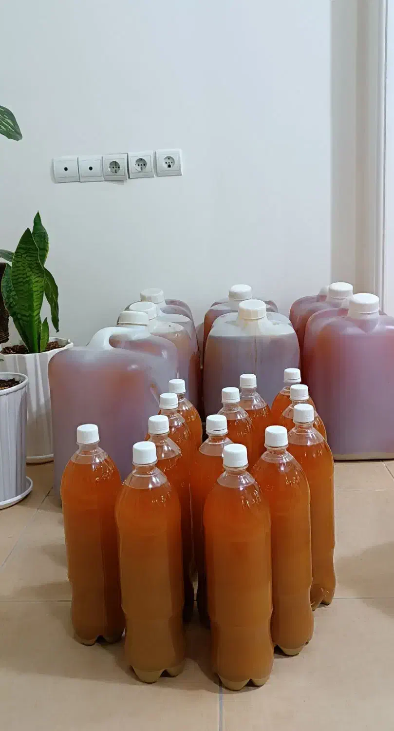 آبغوره تازه از باغات بیضا شیراز|خوردنی و آشامیدنی|اهواز, گلستان|دیوار