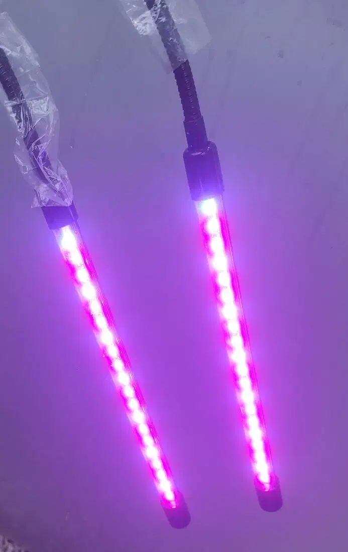 چراغ پروژکتور مخصوص رشد گل و گیاه|گل و گیاه طبیعی|دوگنبدان, |دیوار