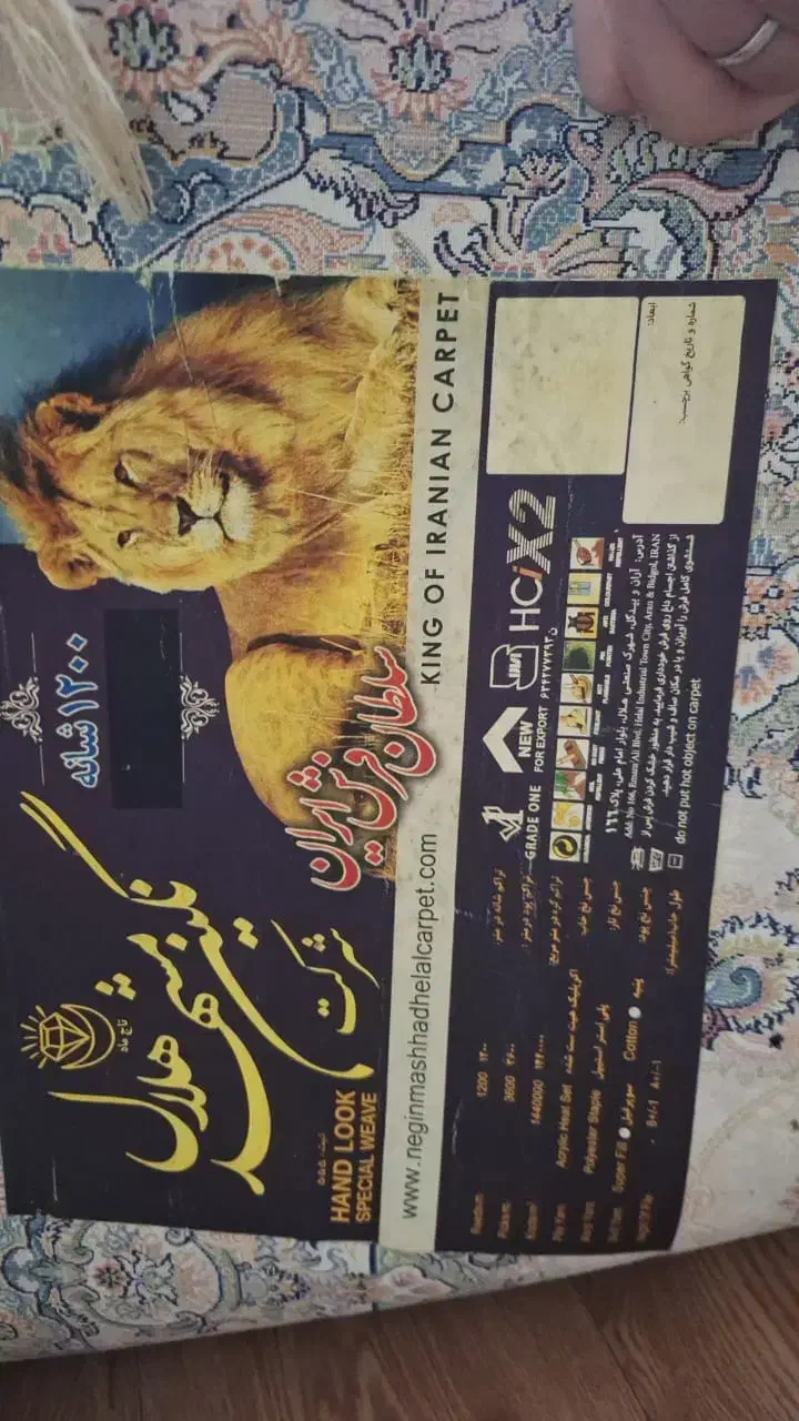 فرش ۴ متری|فرش|رشت, پیرکلاچای|دیوار