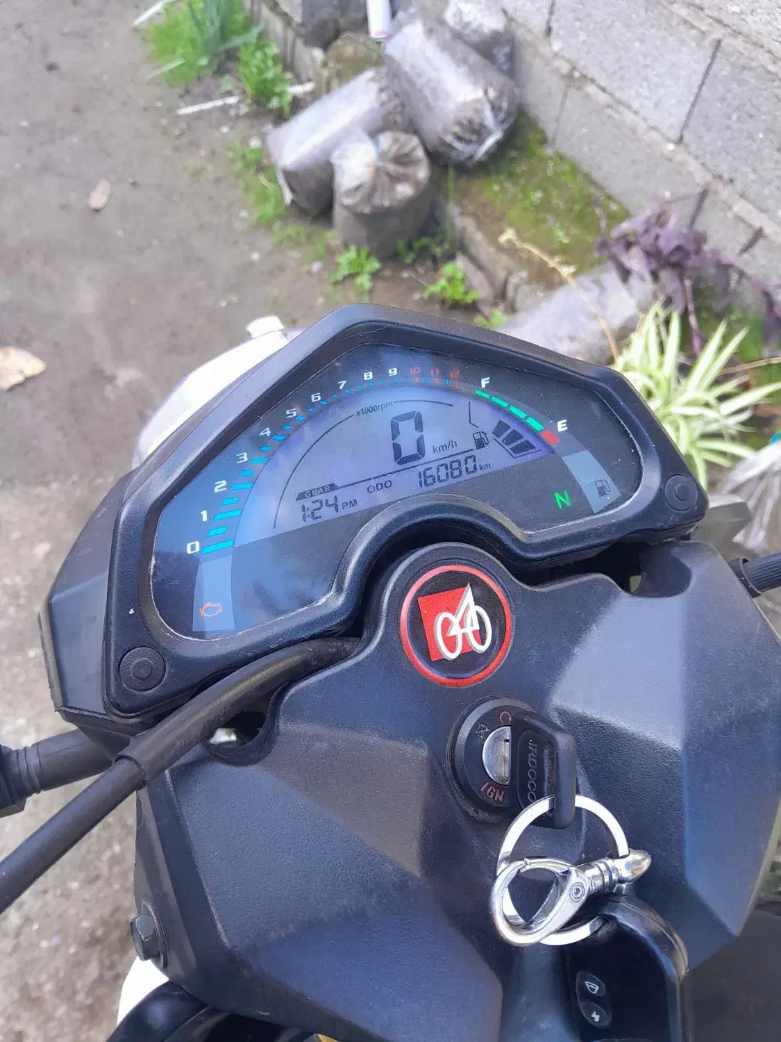 موتور سیکلت اردیکو150|موتورسیکلت|لولمان, |دیوار