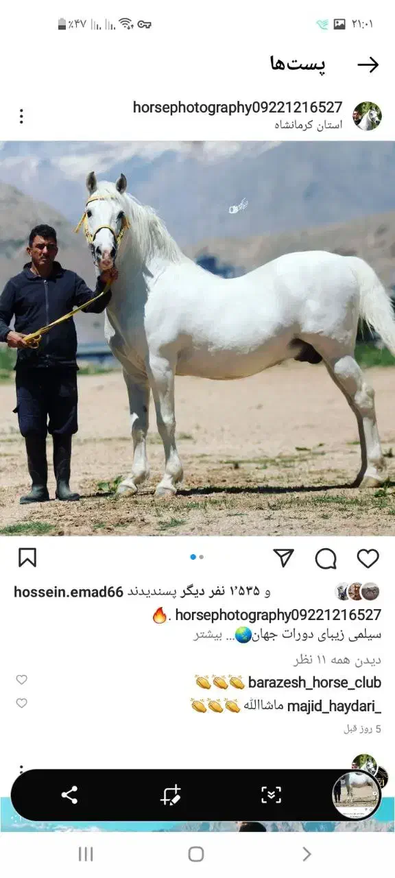 کره دورات جهان(شکری)|اسب و تجهیزات اسب‌سواری|بیستون, |دیوار