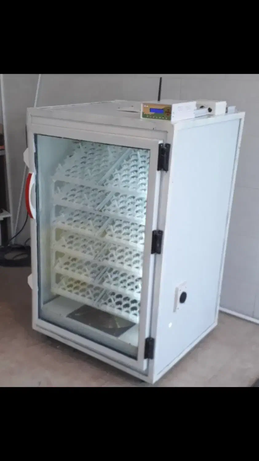 تخم نطفه دار|حیوانات مزرعه|ساری, |دیوار