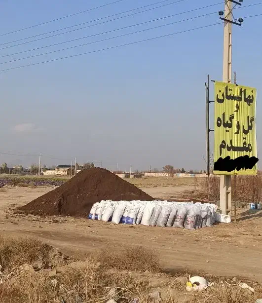 کود گاوی پوسیده و ماسه بادی|گل و گیاه طبیعی|ورامین, ورامین|دیوار