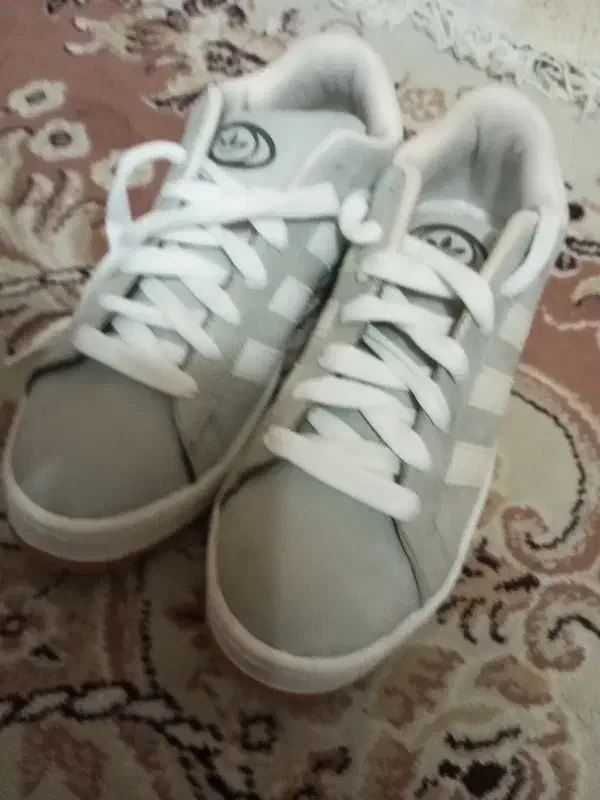 کفش 43|کیف، کفش، کمربند|مشهد, خواجه ربیع|دیوار