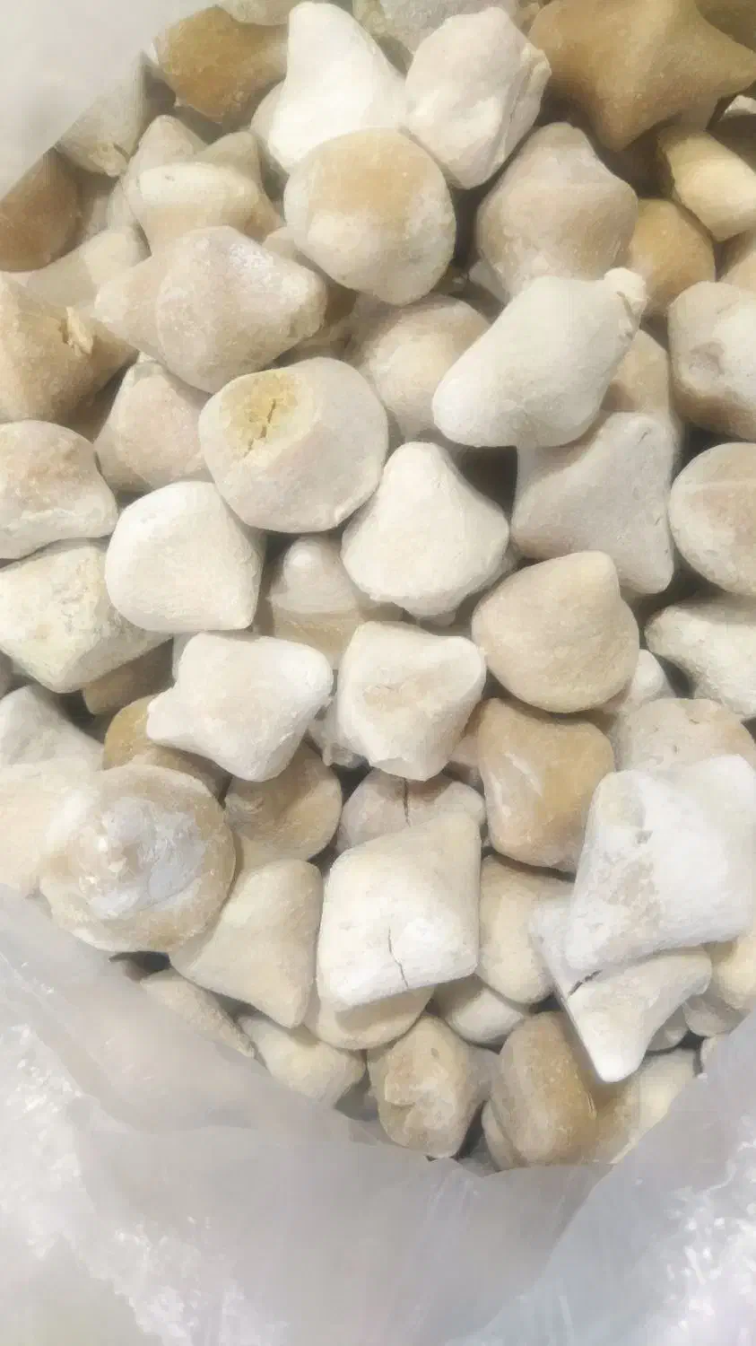 قورت مشکی گوسفندی|خوردنی و آشامیدنی|تربت جام, حافظ|دیوار