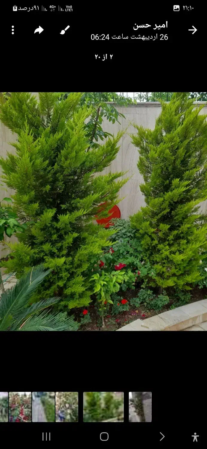 خدمات باغبانی وفضای سبز در تهران وحومه|خدمات باغبانی و درختکاری|تهران, پاسداران|دیوار
