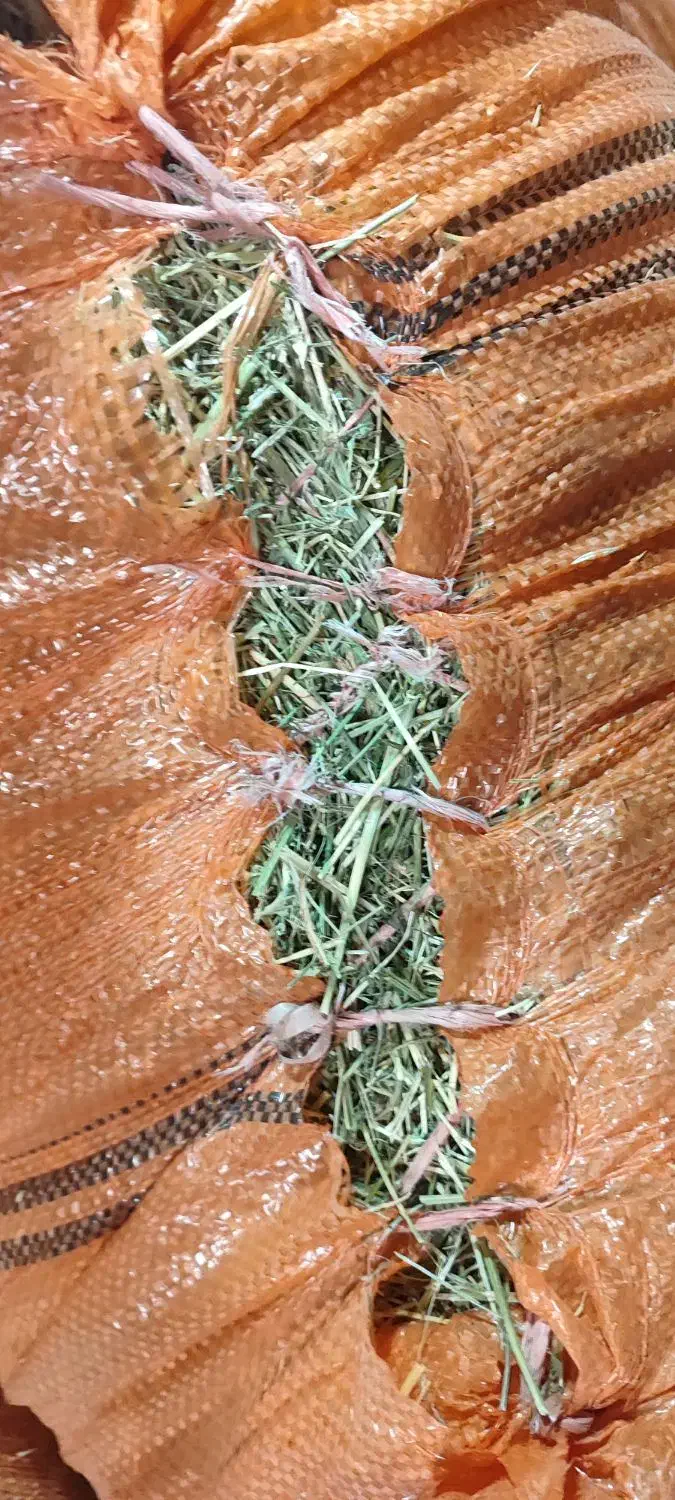 یونجه خرد شده بسته بندی شده|حیوانات مزرعه|الوند, |دیوار