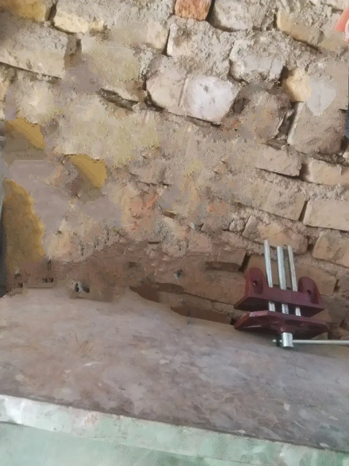 فروشی با کفترم معامله میشه نوق هست|پرنده|فردوس (کرمان), |دیوار