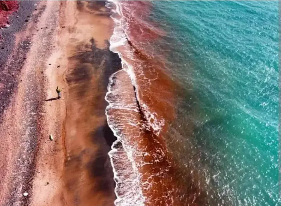 سفری خاطره انگیز به جزایــر ((قــشــم و هــرمـز)|تور و چارتر|فولادشهر, B8|دیوار