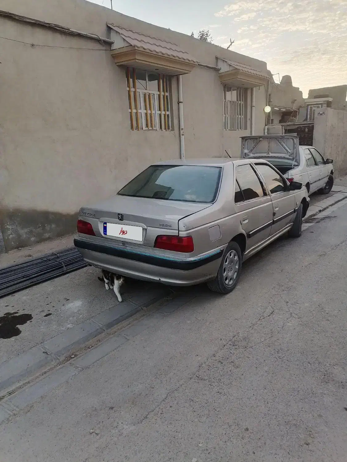 ماشین پژو پارس|خودرو سواری و وانت|گنبد کاووس, |دیوار