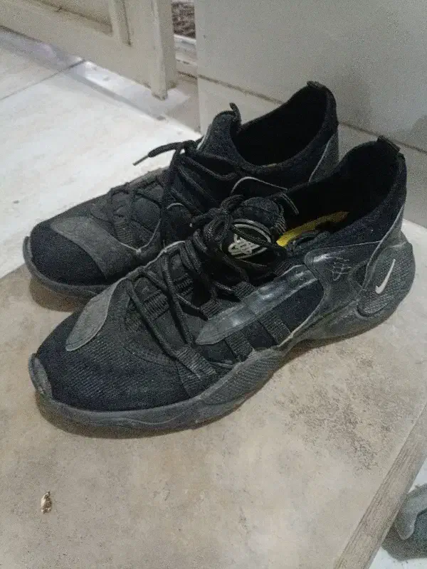 کفش|کیف، کفش، کمربند|کازرون, |دیوار