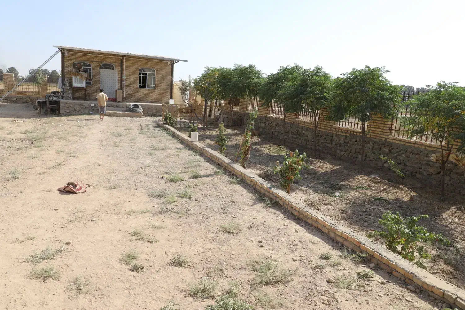 گلخانه نوساز دیوار نرده|فروش دفتر صنعتی، کشاورزی، تجاری|قرچک, داوود آباد|دیوار