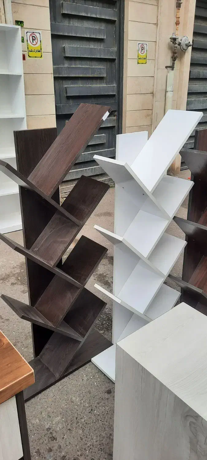 کتابخانه طرح درختی|کتابخانه، شلف، قفسه‌های دیواری|رشت, دیلمان|دیوار