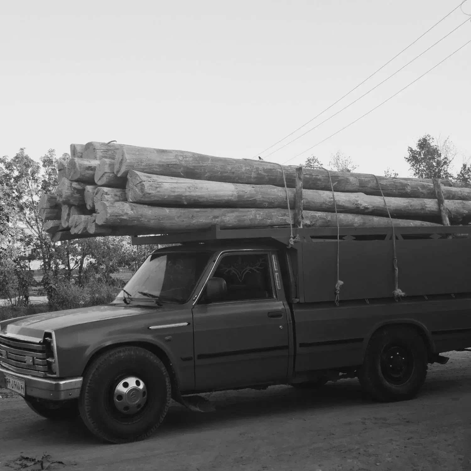 چووب چوب|خدمات باغبانی و درختکاری|قره چای, |دیوار