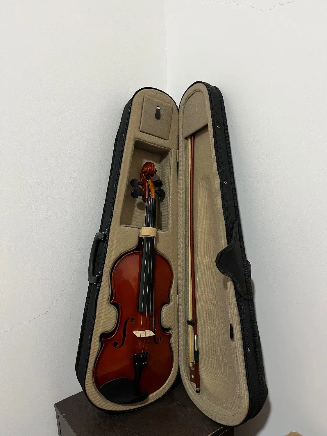 ویالون AMATi سایز 4/4|ویولن|بندر انزلی, جهانگانی|دیوار