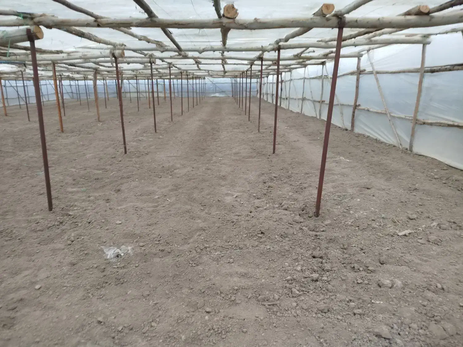 سازه گلخانه چوبی|خدمات باغبانی و درختکاری|فلاورجان, |دیوار