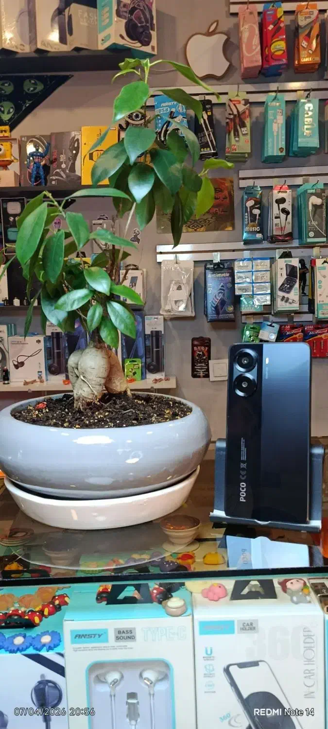 X7poro|موبایل|شیراز, بالا کفت|دیوار