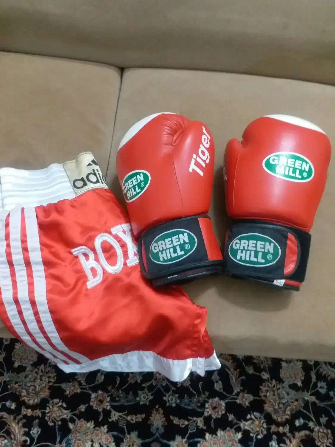 دستکش بوکس|تجهیزات ورزشی|محمدیه-قزوین, |دیوار