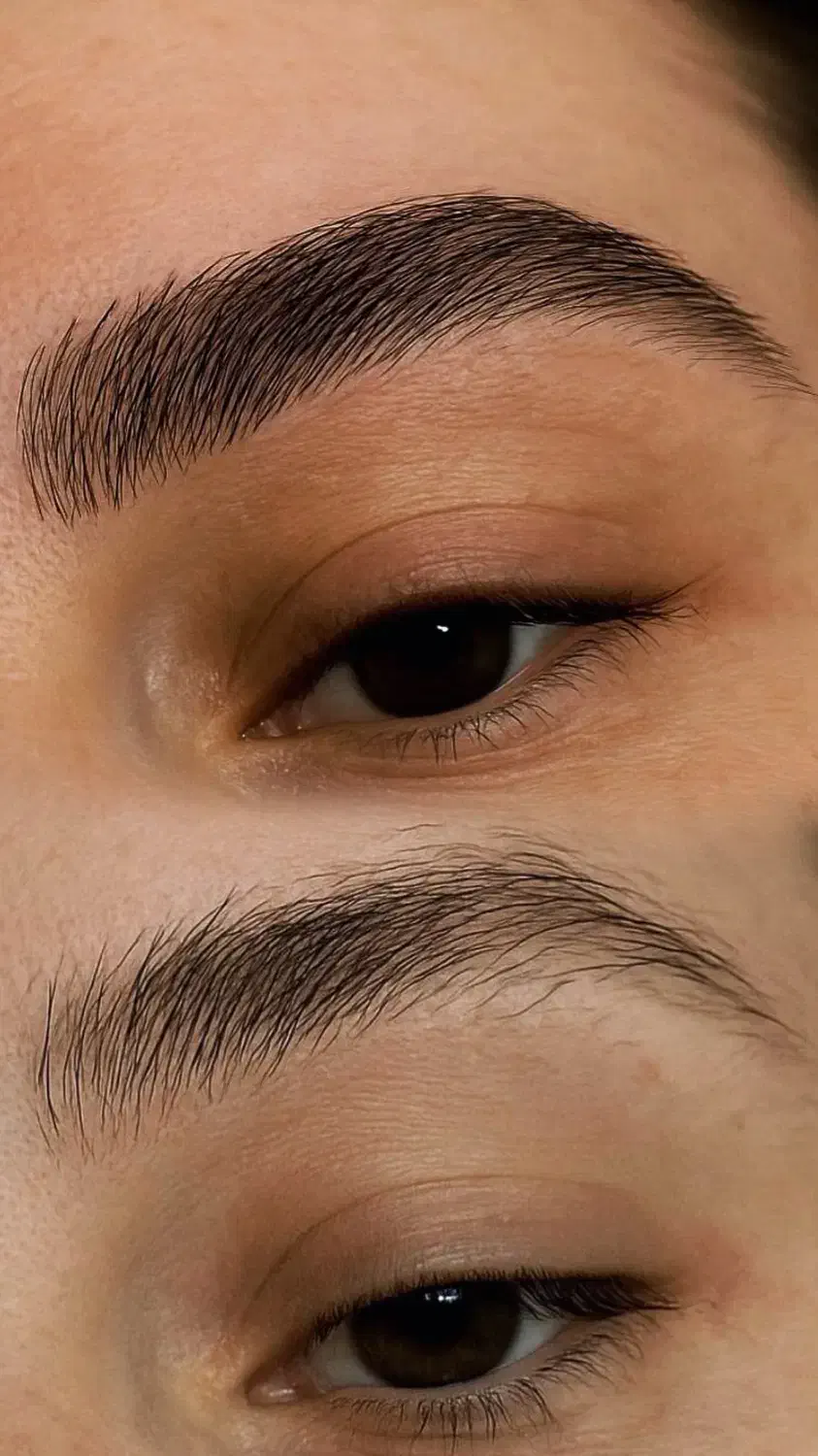 مدل برای میکروبلیدینگ ابرو|خدمات آرایشگری و زیبایی|اردبیل, |دیوار