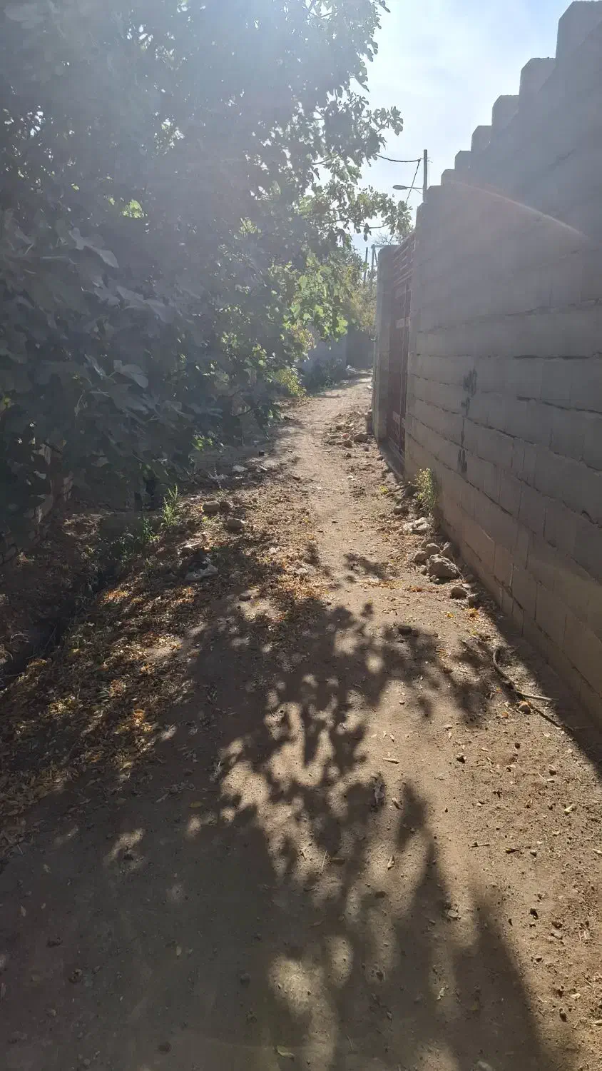 زمین زراعی|فروش زمین و ملک کلنگی|مهریز, |دیوار