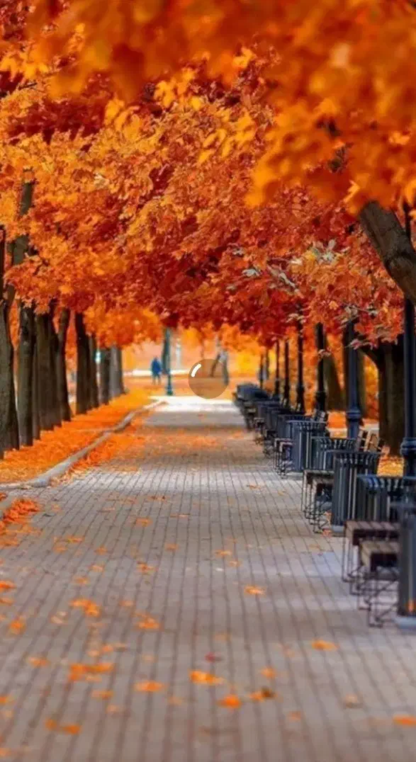 مسافر دربست|خدمات حمل و نقل|میبد, |دیوار