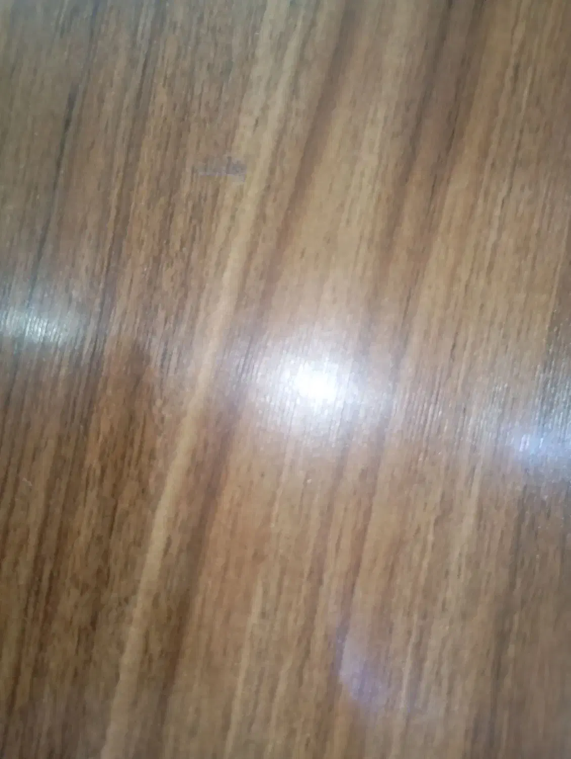 نیازمند نیرو برای کار در دفتر کاری|استخدام اداری و مدیریت|فومن, |دیوار