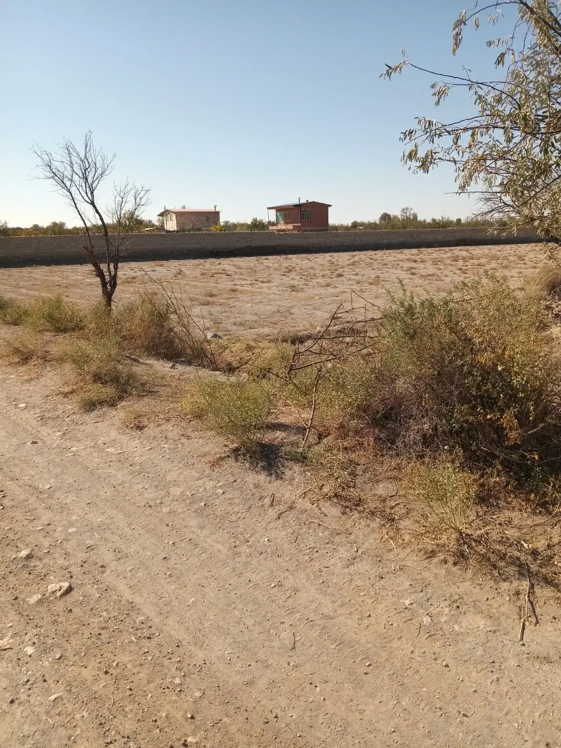 زمین|فروش زمین و ملک کلنگی|گوگان, |دیوار