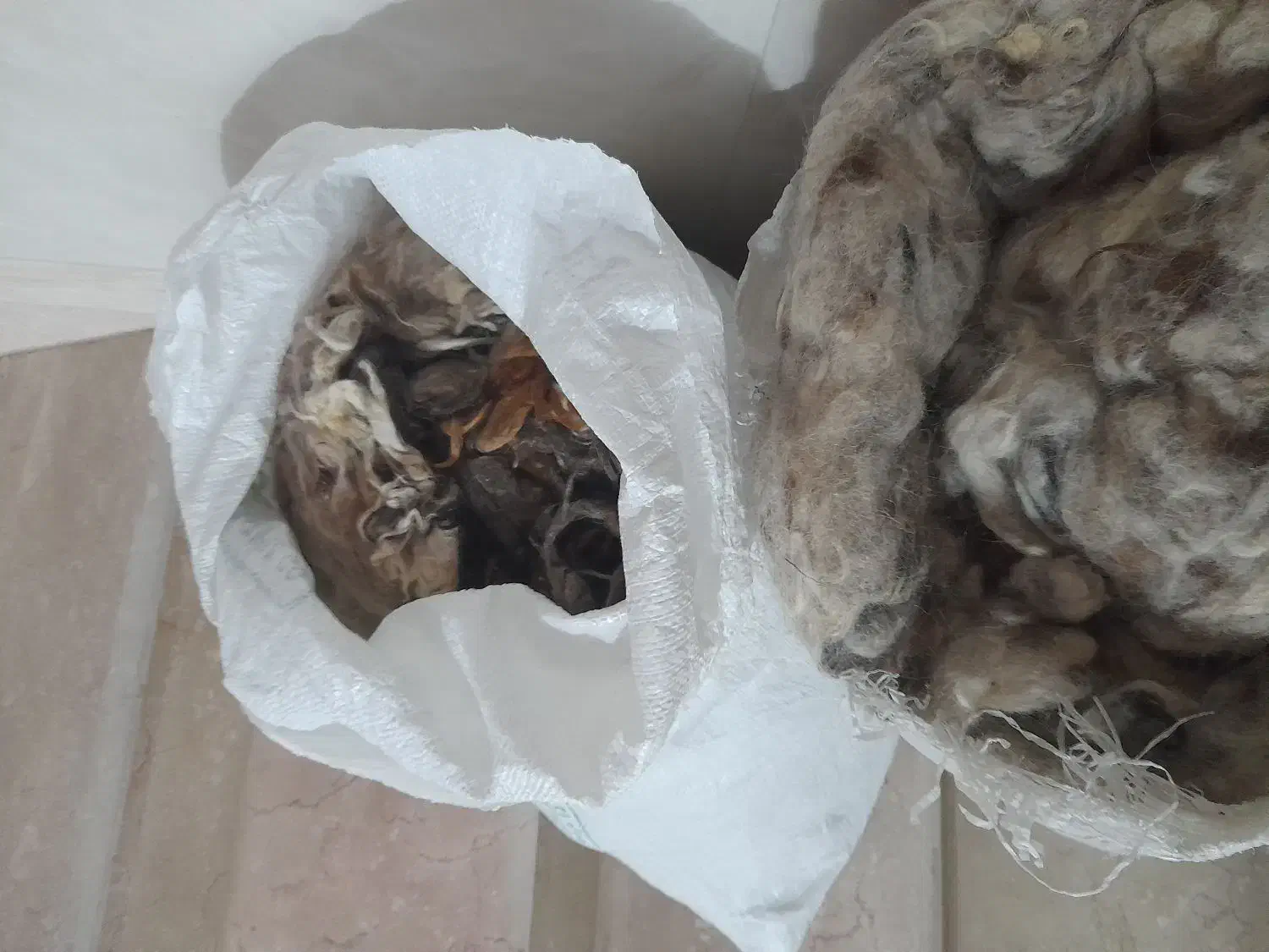 دو گونی پشم گوسفند|رختخواب، بالش، پتو|سقز, |دیوار