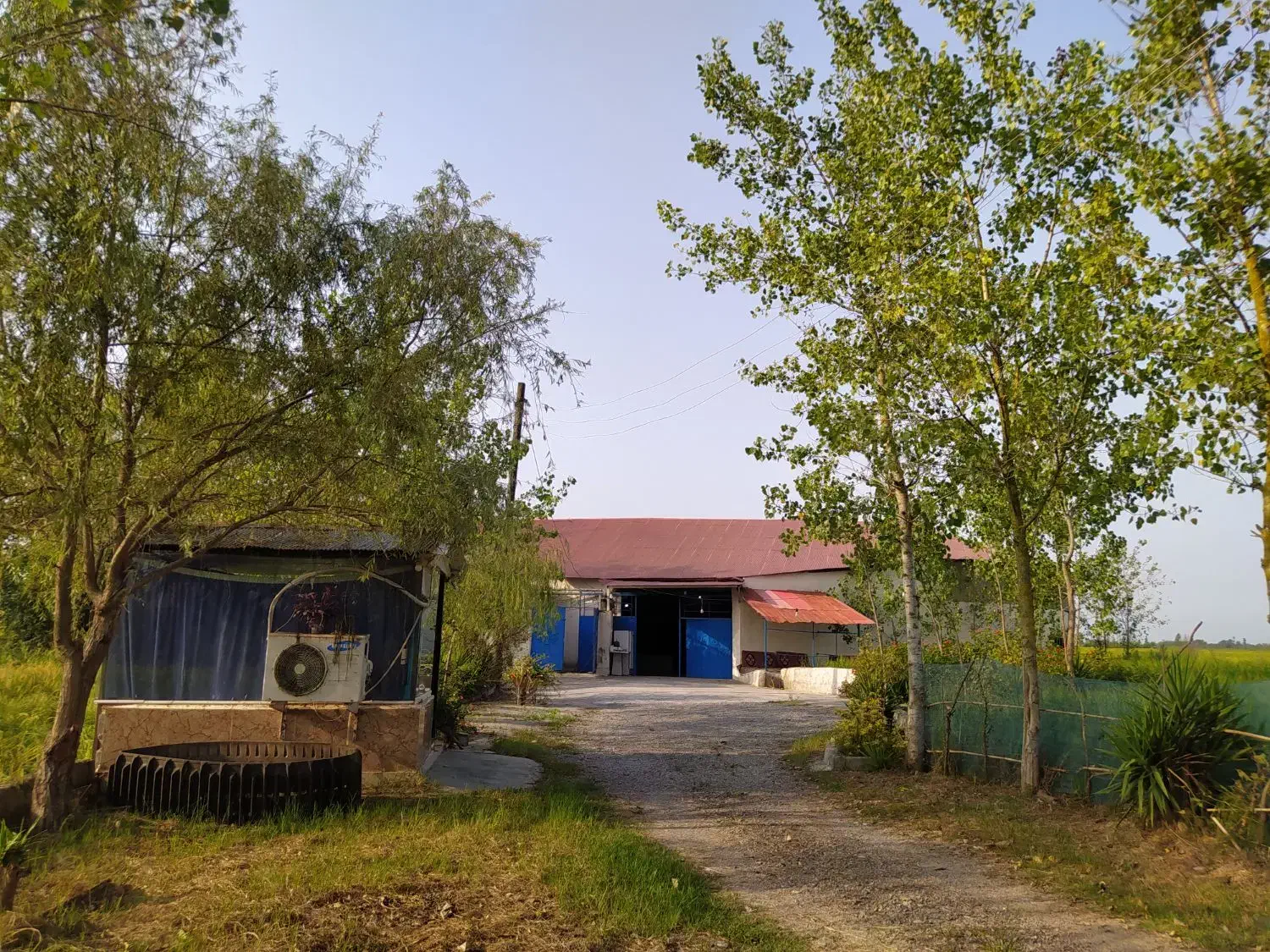 سوله 2565متر|فروش دفتر صنعتی، کشاورزی، تجاری|لنگرود, |دیوار