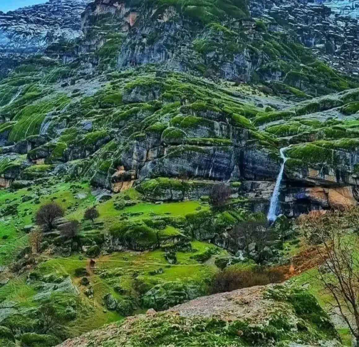 تدریس درس ریاضی|خدمات آموزشی|خرمآباد, |دیوار