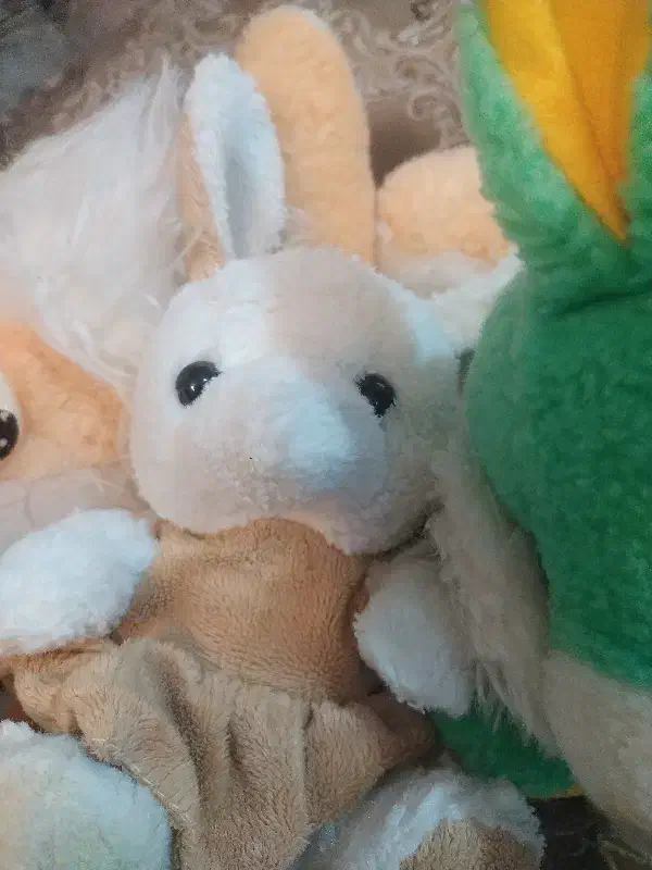 عروسک|اسباببازی|خرمآباد, |دیوار