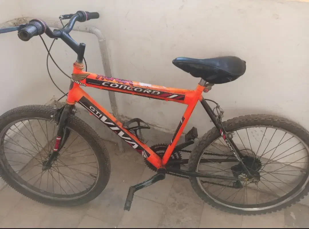 دوچرخه 24|دوچرخه، اسکیت، اسکوتر|رباط‌کریم, رباط‌کریم|دیوار