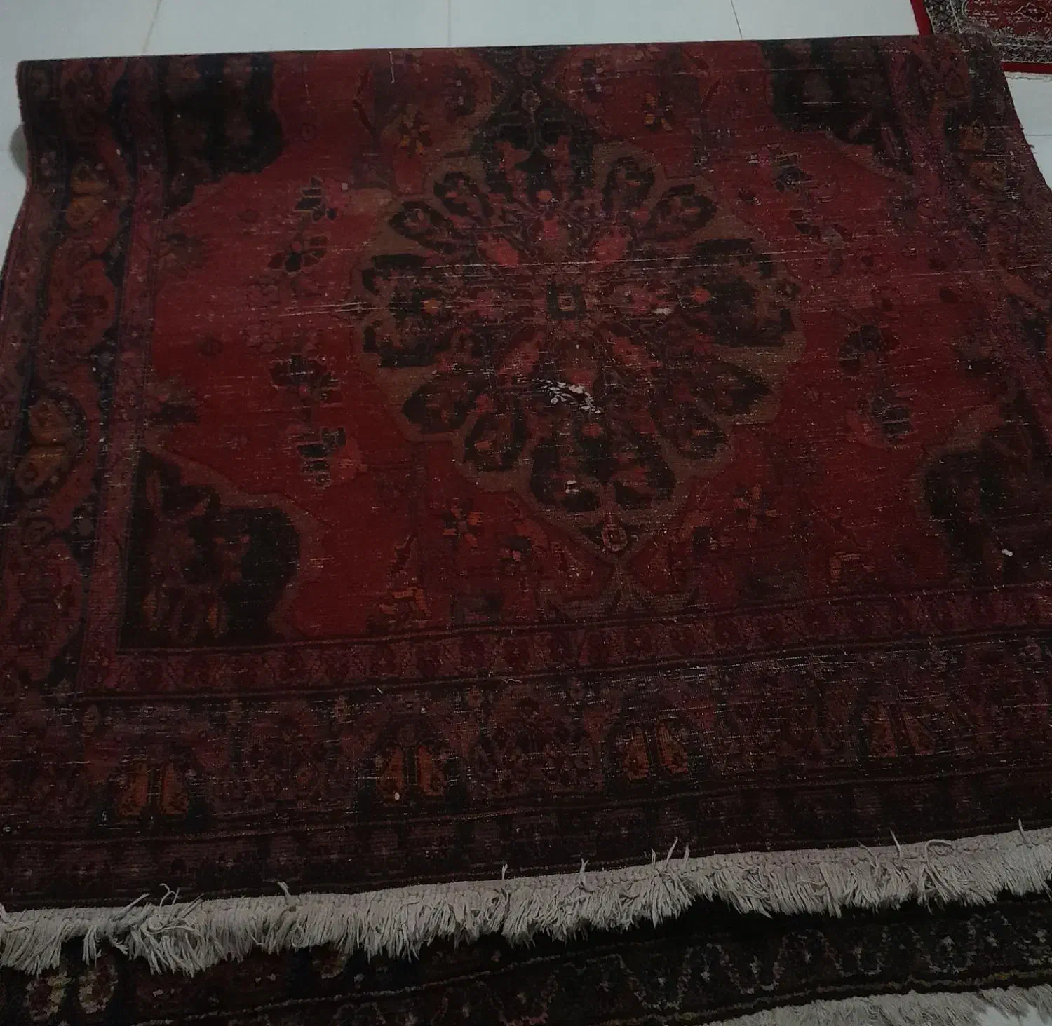 فرش آنتیک حدود 100سال|فرش|بوکان, |دیوار