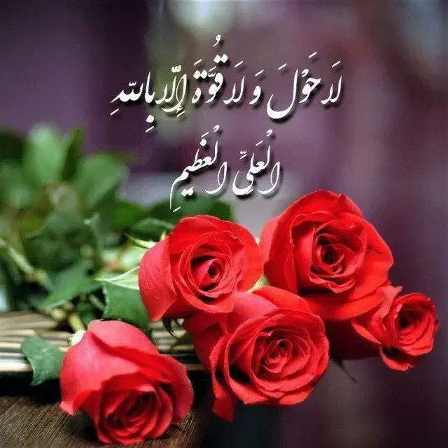 زمین فروشی|فروش زمین و ملک کلنگی|ماهیدشت, |دیوار