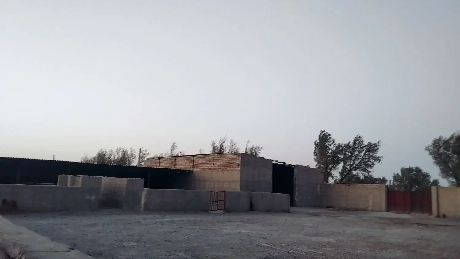 فروش دامداری صنعتی ۱۰۰ راسی|فروش دفتر صنعتی، کشاورزی، تجاری|نیمروز, |دیوار