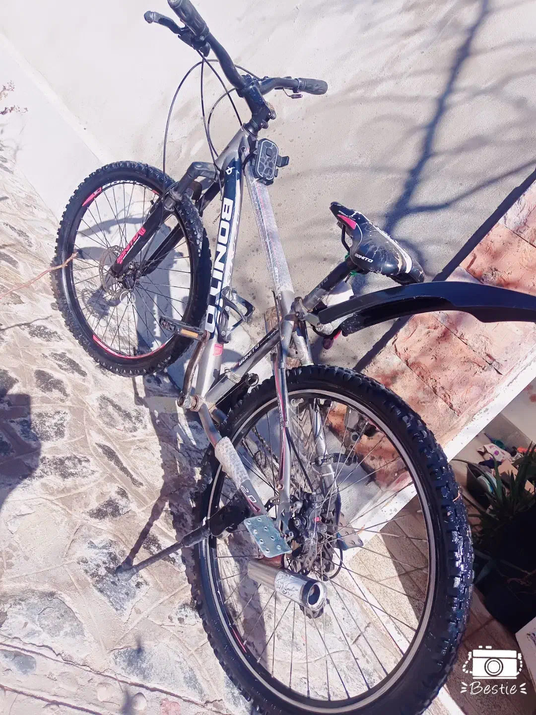 دوچرخه 26|دوچرخه، اسکیت، اسکوتر|سربیشه, |دیوار