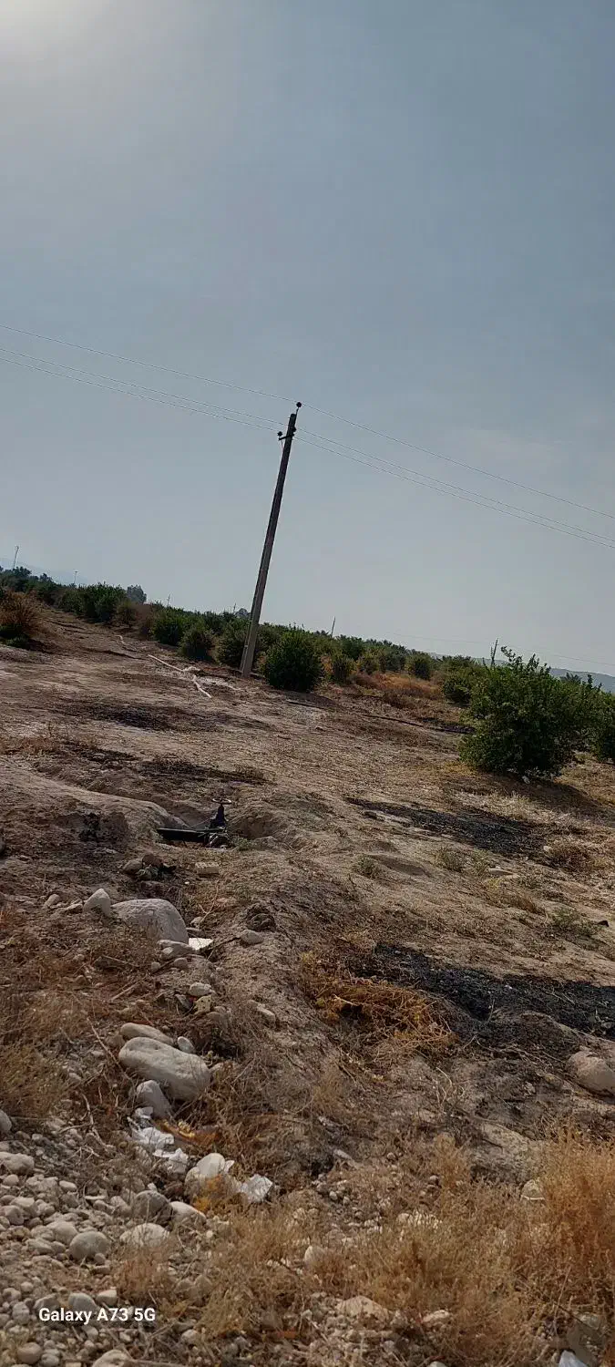 فروش باغ|فروش زمین و ملک کلنگی|بستک, |دیوار