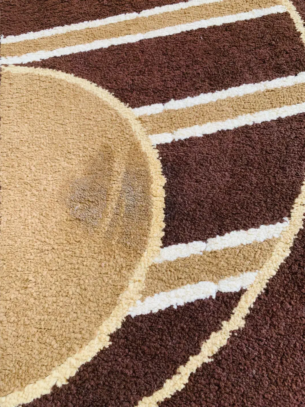 گلیم فرش|گلیم، جاجیم، گبه|مرودشت, بیست متری بیمارستان|دیوار