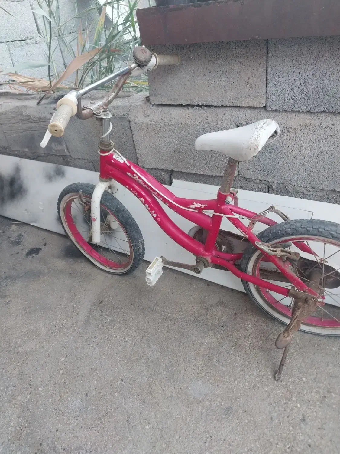 دو عدد چرخ ۱۲و ۱۶|دوچرخه، اسکیت، اسکوتر|بندرعباس, |دیوار