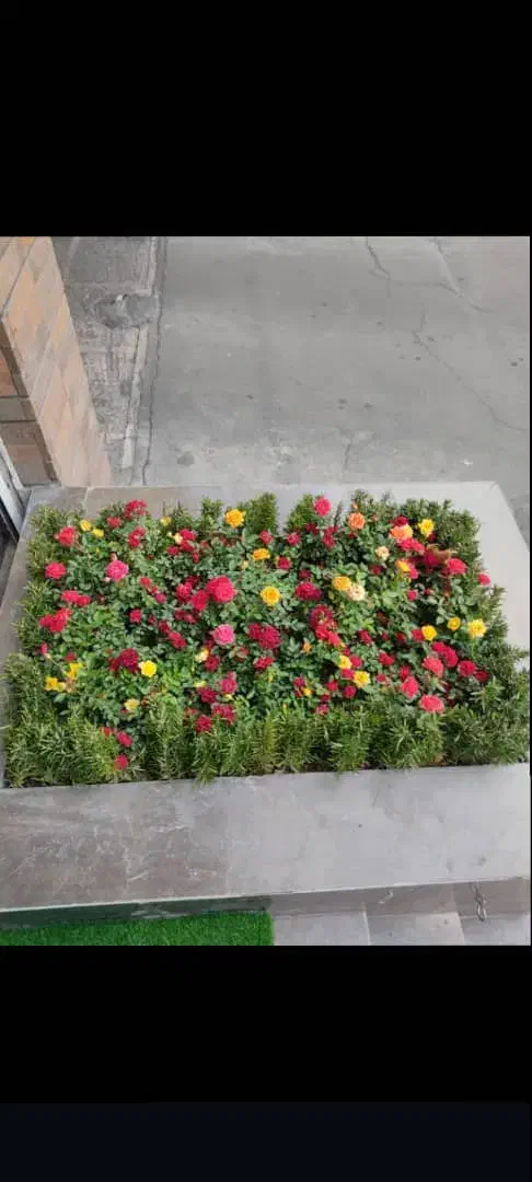 خدمات باغبانی ودرخت کاری کودهی هرسکاری تمام پردیس|خدمات باغبانی و درختکاری|پردیس, شهرک صنعتی خرمدشت فاز ۷|دیوار