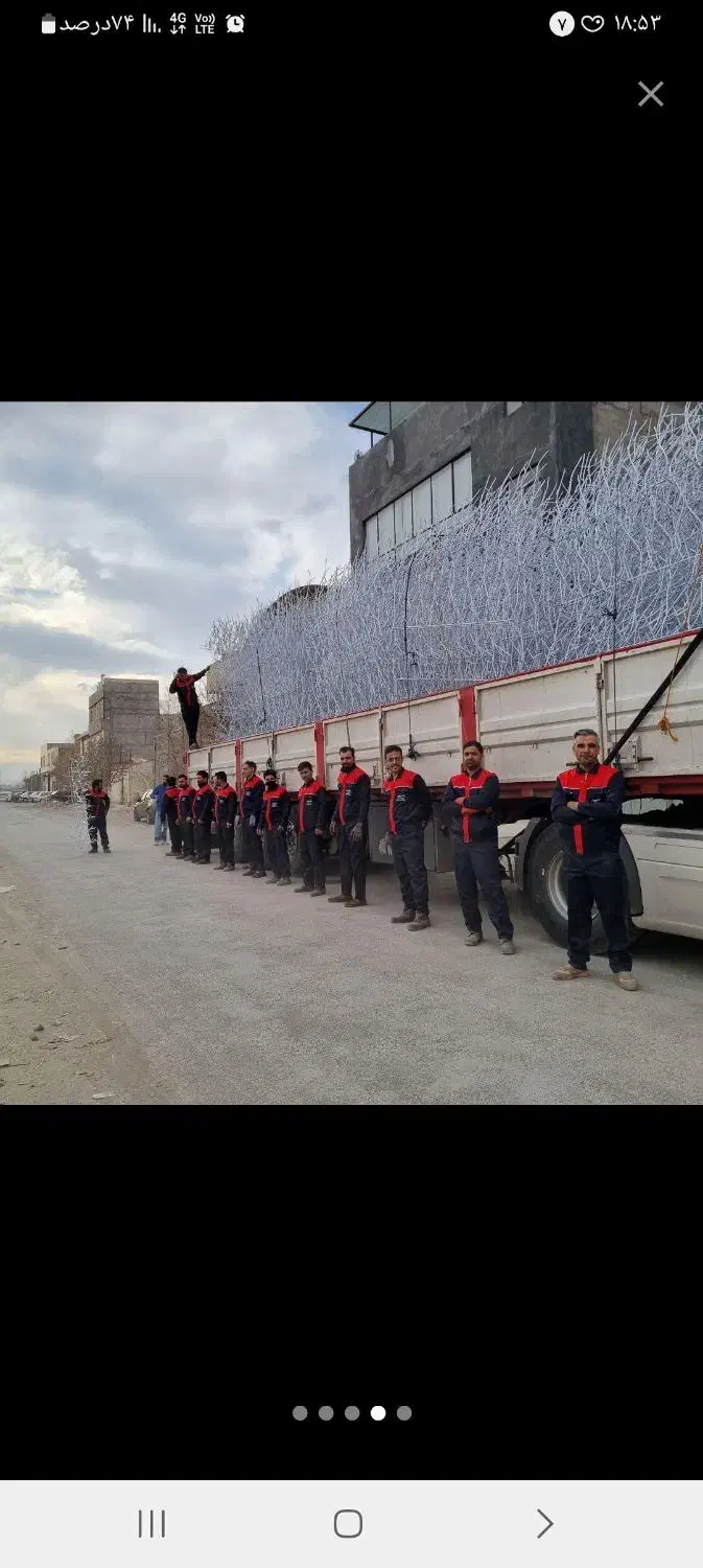 حفاظ روی دیوار. شاخ گوزنی .بوته خاری .|خدمات پیشه و مهارت|مشهد, بهار|دیوار