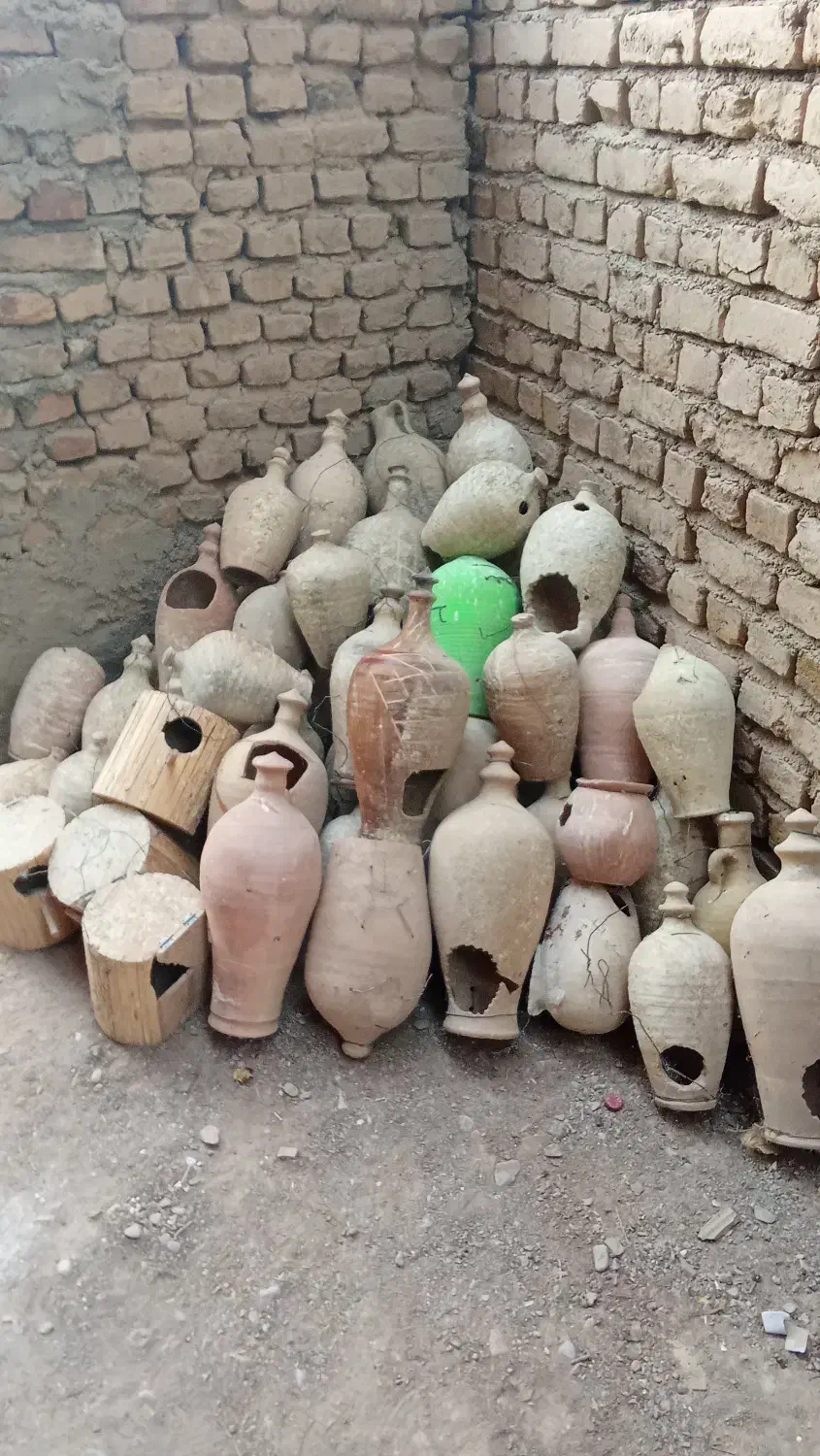 کوزه برای لانه عروس هلندی و کوتوله|لوازم جانبی حیوانات|فیروزه, |دیوار