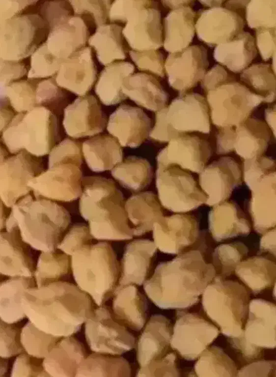 فروش نخود قرمز|خدمات باغبانی و درختکاری|دهگلان, |دیوار