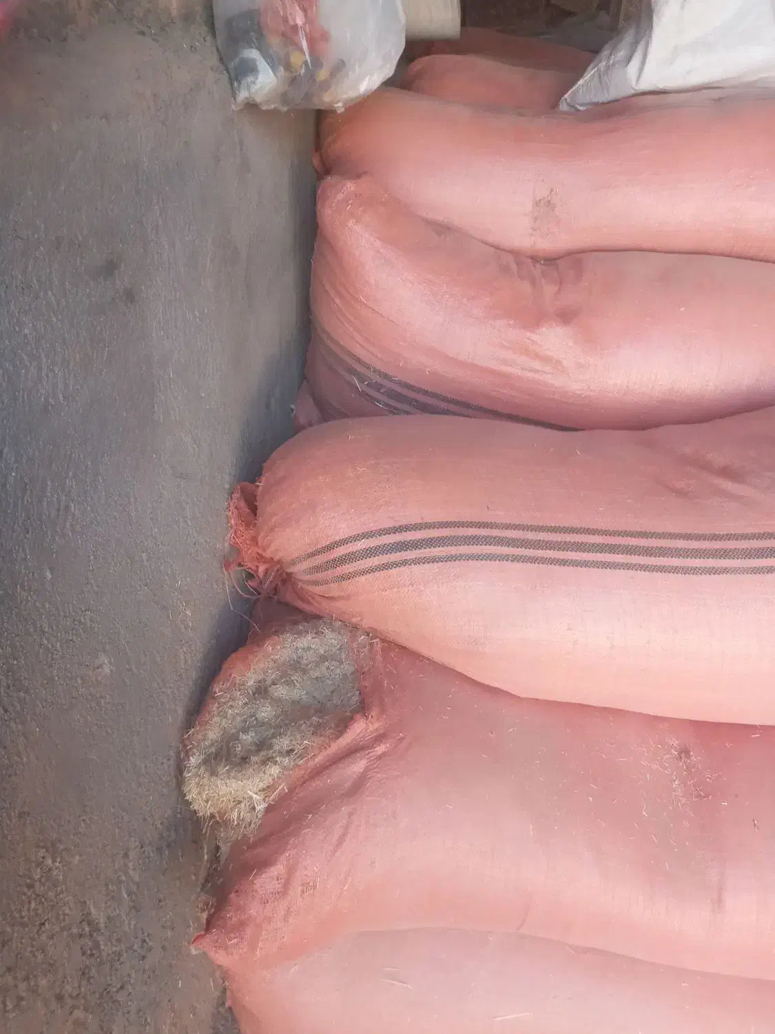 کاه گندم|لوازم جانبی حیوانات|آبکوه, |دیوار