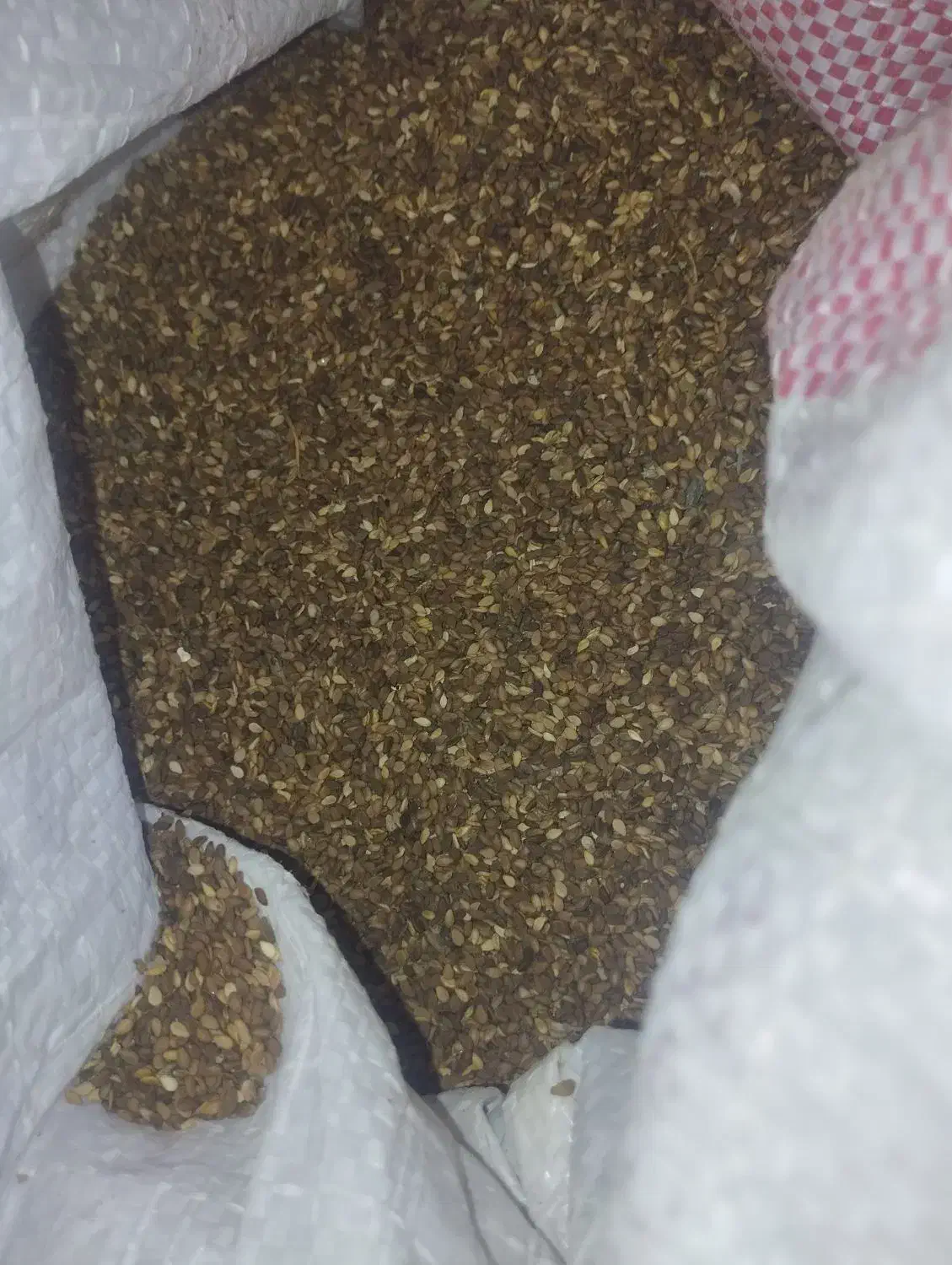 کنجد|خوردنی و آشامیدنی|سبزوار, باهنر|دیوار