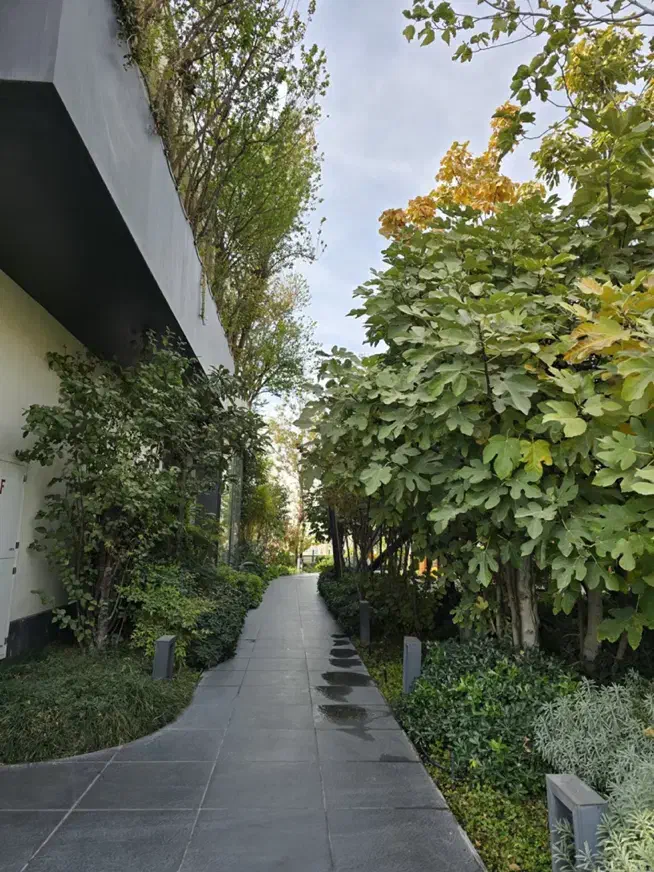 زعفرانیه/ پروژه تندیس ۳۲۰ متر ۳ خواب مستر